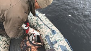 ПРОВЕРКА СЕТЕЙ НА ОЗЕРЕ. СНОВА ХОРОШИЙ УЛОВ НА СЕТИ ВЕСНОЙ. РЫБАЛКА НА СЕТИ В МАЕ.