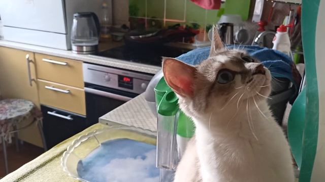 КТО ТАМ ТАКОЙ ЛЕТАЕТ ??? смотреть онлайн