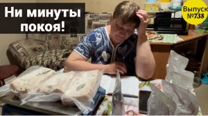 Оформили посылки. Привезли 50 бройлеров. Накормили свиней и быков. Жизнь в Омской деревне.