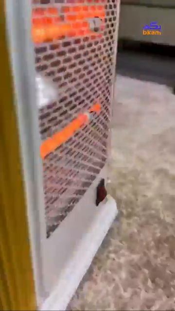 Видео от Выживание