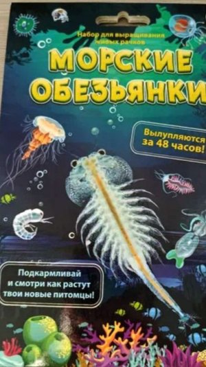 «Морские Обезьянки». Завели новых питомцев)))