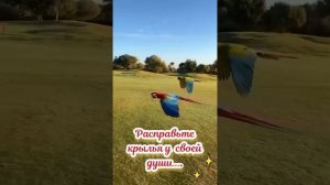 YouCut_20260605_211818281.mp4