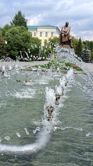 Фонтан, памятник Попову, голубь на плече)