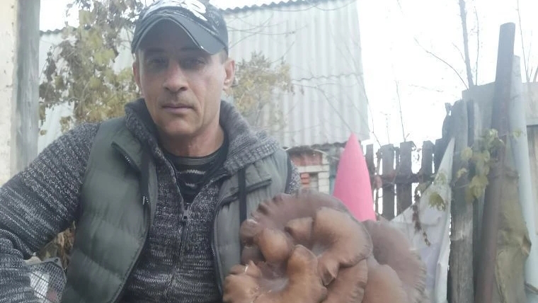 🔥Грибы из АрТ Бетона👍