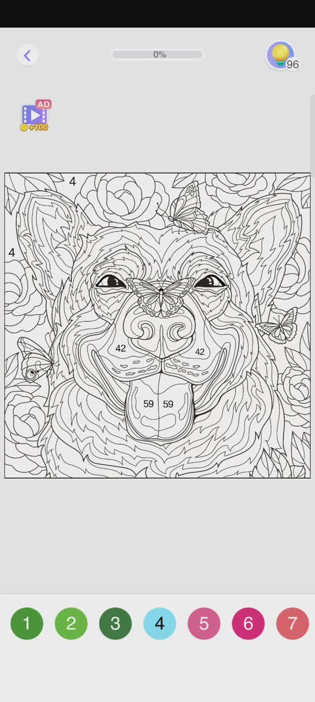 Dayli Color #4