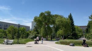Солнечная погода в Новосибирске