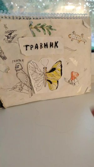 всё о моих увлечениях