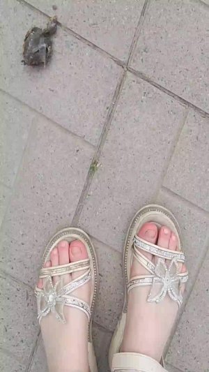 нте