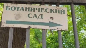 Идем смотреть пионы. Продлись,продлись очарование...