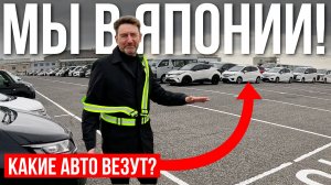 Как машины из Японии попадают в Россию? Огромная стоянка и машины наших клиентов в Осаке