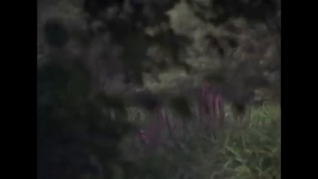 1000005307.mp4 смотреть онлайн