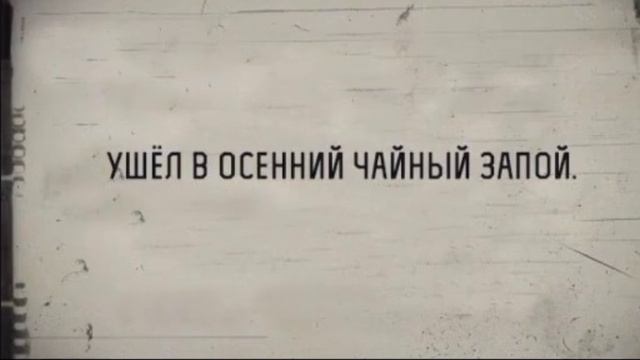 19147.mp4 смотреть онлайн