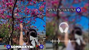🤓🫴Назавюм цыганскае🧿 песней 
❤Amirchik чистый кайф👌