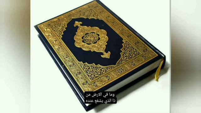 YouCut_20260602_222523878.mp4 смотреть онлайн