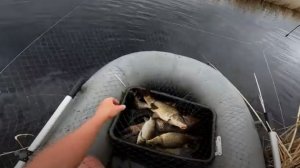 Ловля дикого сазана на паук! Афигенный улов.
