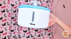 Я построил секретную комнату для своих питомцев!🛏️🐱 Невероятное преображение.