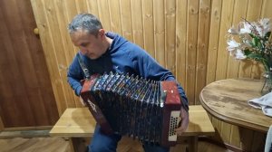 Гармонь Чайка после ремонта.