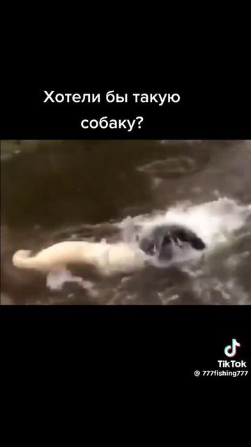 06-06-2026 смотреть онлайн