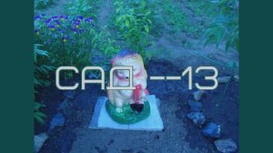 САД _-_13