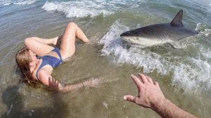 110 удачливых людей попавших на камеру.