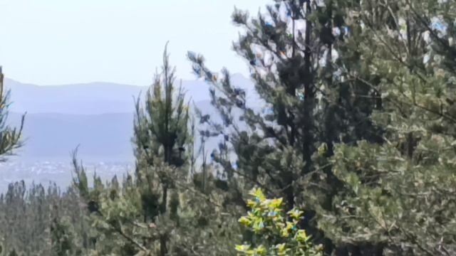 4. Гора Теплая (728 метров). 23 мая 2026 года. смотреть онлайн