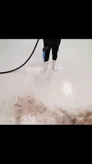 Без названия