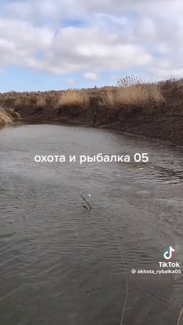 06-06-2026 смотреть онлайн