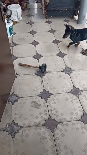 Афина атакует монстра!