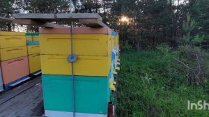 6 июня.