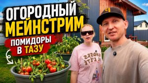 Огородный мейнстрим. Утро с Тарасом #10