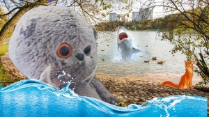 Жужик купается! 💦🐳🌊💧