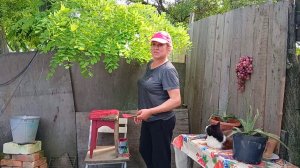 Весь Двор ОБЫСКАЛА – СПЁРЛИ УЖЕ! Рыла ЯМУ И Там ЖИЛА. Хоть НА ВЫСТАВКУ Езжай.