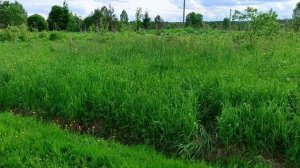 Деревня Кислино и заброшенный дом