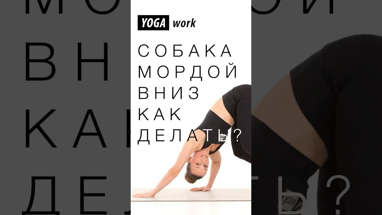 А больше безопасных тренировок в клубе YOGA work! Ссылка в шапке канала #спорт #йогадляначинающих