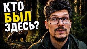 Оставил камеру - фотоловушку в лесу - и не ожидал увидеть такое! #GardePro E8 2.0