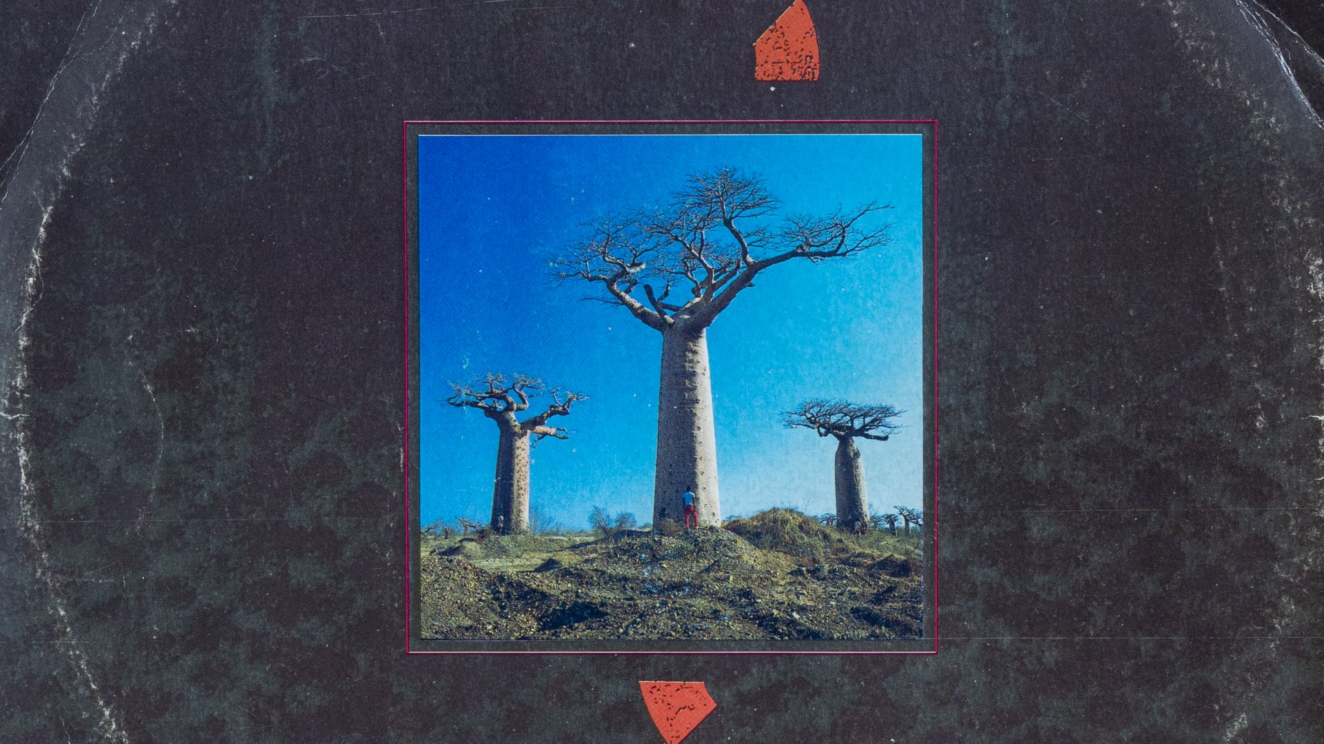 Pink Floyd - Delicate Sound of Thunder LP-2  /1988/ (Оцифровка пластинок)