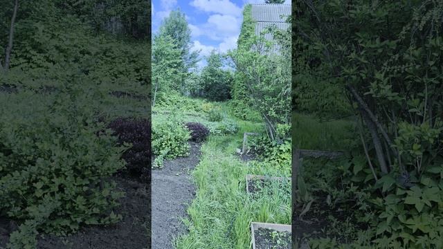2397.mp4 смотреть онлайн