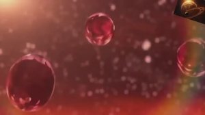 Saturn Feelds - «TFM Project»