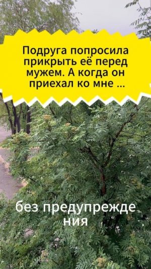 Подруга попросила прикрыть её перед мужем. А когда он приехал ко мне с обыском, я сделала выбор
