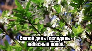 Прямая Трансляция