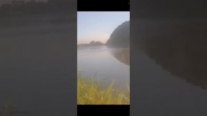Проверка экстракт папайя