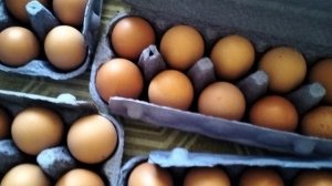 Мои покупки в Дикси, купил куриные яйца по супер цене
