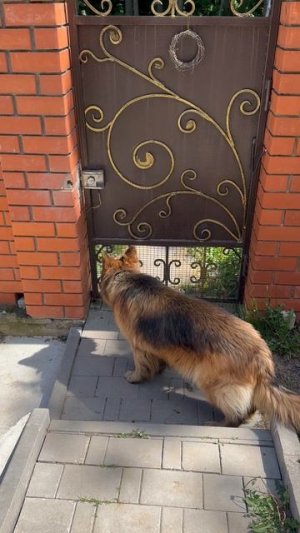 Связь с общественностью.