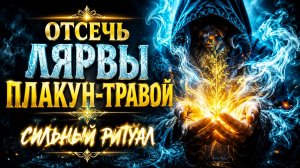 ОТСЕЧЬ ЛЯРВЫ ПЛАКУН - ТРАВОЙ... СИЛЬНЫЙ РИТУАЛ... ДЛЯ ВСЕХ
