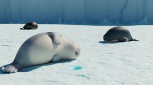 Тюленьки 23 серия