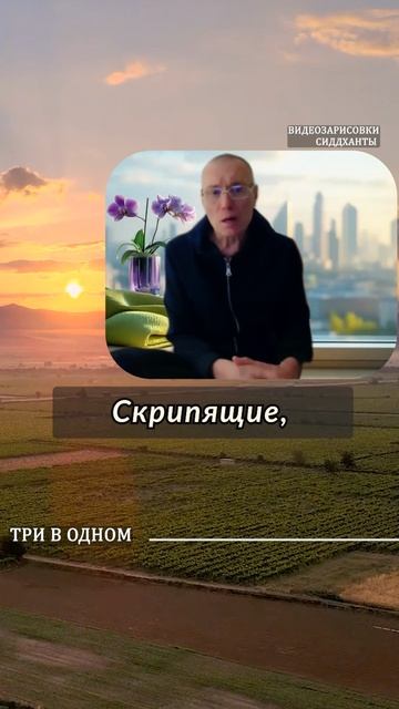 Три в одном. Видеозарисовки Сиддханты (Вячеслава Чернина)