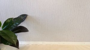 Излишки комнатных растений