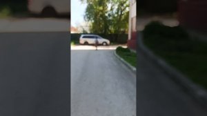 финалка