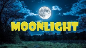MilZvuk -Moonlight (Лунный свет)