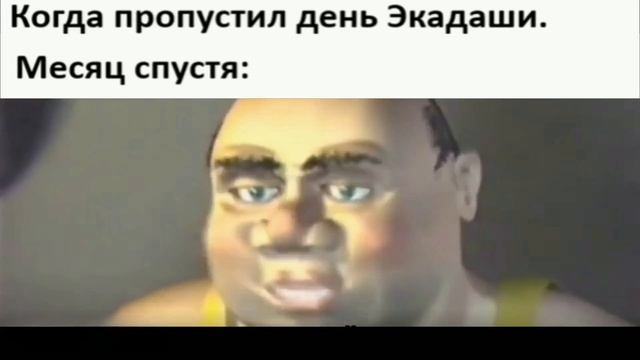 Когда пропустил день Экадаши